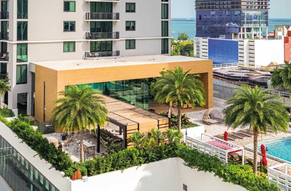 Beautiful Building with Palm Trees